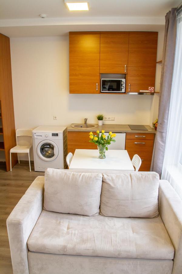 Sky Studio Near The Vilnius Center מראה חיצוני תמונה